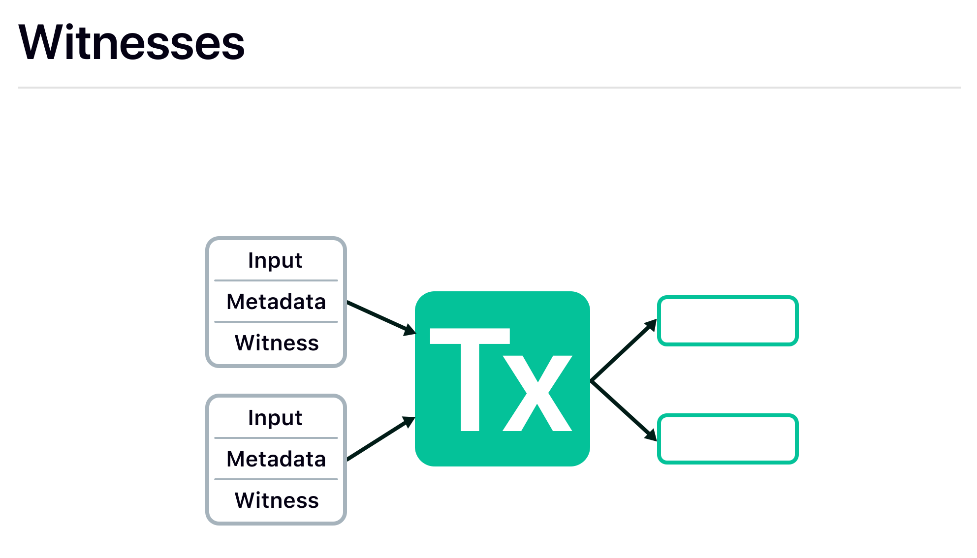 Witness and metadata